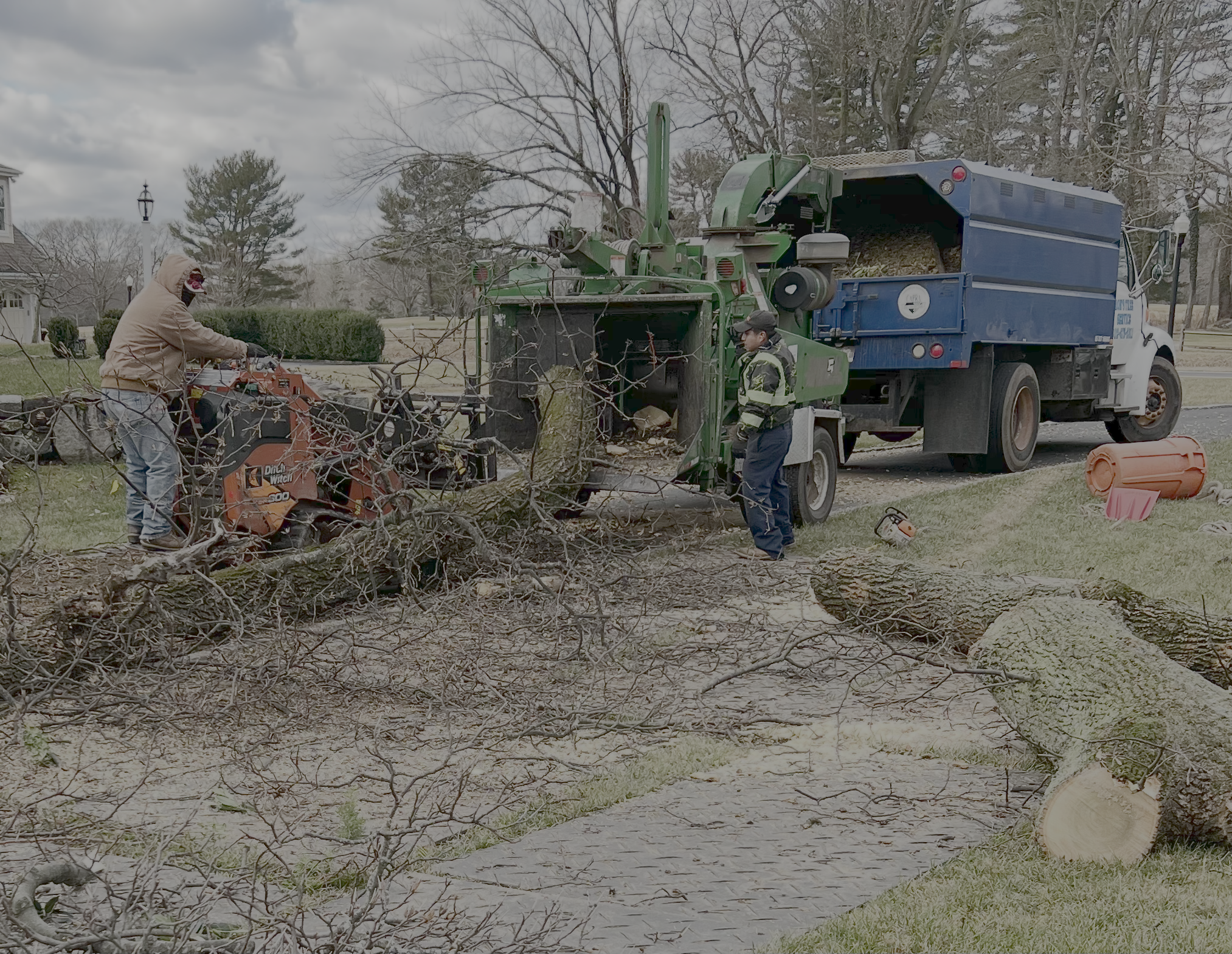 Tree grinding machine clearing a stump on a residential property